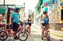 E-bike the Green Buenos Aires- the Palermo and Recoleta Tour