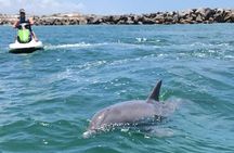 Crab Island Dolphin Jetski Adventure 