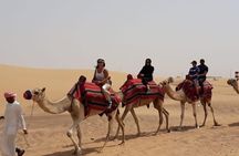 Morning Dubai desert safari - camel rides, quad bikes, dune buggies,dune bashing