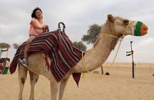 Morning Dubai desert safari - camel rides, quad bikes, dune buggies,dune bashing