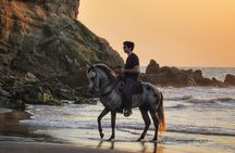 Horseback riding tour in a Colombian Paso fino horse