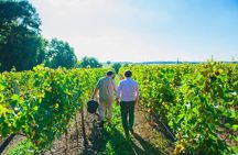 Picnic in the Vines - A Unique Loire Wine Experience