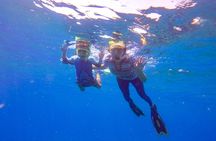 Shared 2 hours Sosúa Bay Snorkeling with Professional Guide