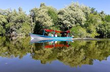 Lagoon Adventure: Jungle, Turtle Release & Cliff Diving Spectacle
