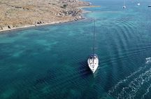 All inclusive Delos & Rhenia Islands tour up to 12 pax (free transportation)