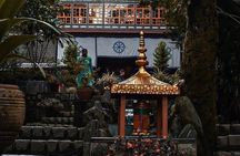Guided, India's Own Mini Tibet Mcleodganj- Culture Tour