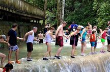 Dunn's River Falls and Luminous Lagoon Guided Tour from Grand Palladium
