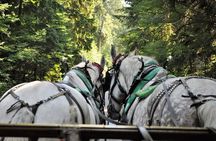 Stanley Park Horse-Drawn Tour