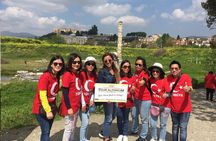 Day Trip to Ephesus from/to Istanbul with FLIGHT and LUNCH
