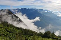 Private Day Trip to Munnar from Kochi (Cochin)