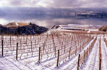 West Kelowna Wine Tour - Classic - 6 Wineries