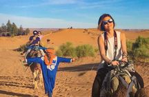 Dinner show and Sunset Camel riding Agafay desert