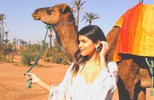 Dinner show and Sunset Camel riding Agafay desert