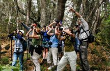 Bird Watching Adventure
