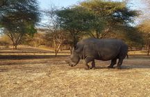 Bandia Park Safari (Minimum 2 Participants)