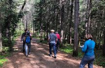 All-Inclusive Camp & Tube At Elora Gorge (2 Day)
