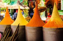 Marrakech: Guided City & Gardens Highlights Tour