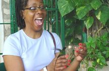 Rocklands Bird Sanctuary & City Highlights plus Shopping from Montego Bay