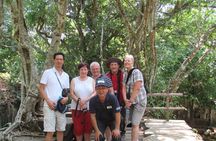 Private Full-Day Tour to Koh Ker and Beng Mealea 