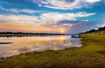 Chambal Crocodiles Safari Adventure with Hotel Transfers