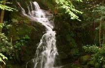 Clear Creek Falls Hike