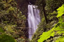 3-in-1 Monteverde Cloud Forest Waterfalls, Wild Trekking and Horseback Riding