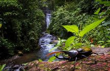 3-in-1 Monteverde Cloud Forest Waterfalls, Wild Trekking and Horseback Riding