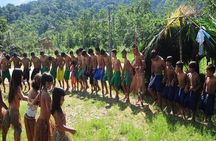 Itaguare Beach Private Tour with Indigenous Village from Santos