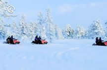 Snowmobile Safari into Arctic Wilderness
