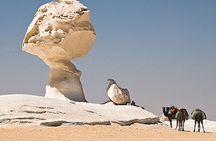 3 Days 2 Nights White Desert and Bahariya Oasis Tour