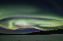 Private Northern Lights 4-hour Hunting