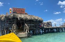 Private Transportation from Montego Bay to Appleton Estate & Pelican Bar