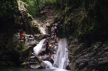 Shore Excursion: Quick Zip and Waterfalls of Damajagua Adventure