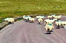 Ring of Kerry private Tour from Killarney, Car or minibus