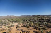 Apache Trail Private Half-Day Tour