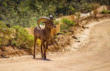 Apache Trail Private Half-Day Tour