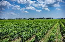 Private,Custom Niagara Escarpment-Scenic Boutique Winery Tasting Tour