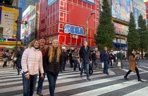 Tokyo Top 10 Highlights & Hidden Gems: Private Tour with a Local