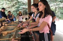Tokyo Family Tour with a Local Guide, Private & Tailored to You 