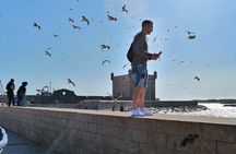 Private Full Day Tour to Essaouira from Marrakesh