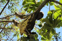 Amboro National Park Overnight Tour from Santa Cruz