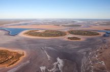 Scenic Plane Flight: Desert Explorer