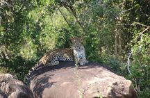 Evening Safari - Yala National Park with Janaka safari - 02.00 pm to 06.30 pm