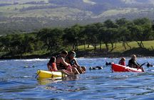 Maui South Shore Premier Kayak and Snorkel Tour from Makena Beach