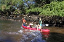 Maui South Shore Premier Kayak and Snorkel Tour from Makena Beach