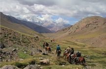 Full day Horseback Riding in the Andes and BBQ 