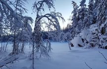 Half-Day Nature Adventure to Nuuksio National Park from Helsinki