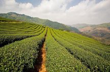 Discover Hill Tribes and Border Markets in Chiang Rai, Full Day