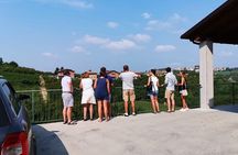 Barolo&Barbaresco wine tour with a local winemaker from Alba