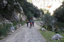 Half-Day Mountain Bike Experience to Serra de Tramuntana,